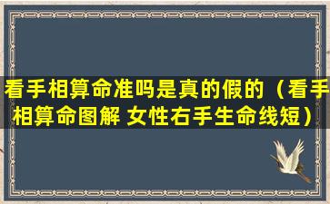 看手相算命准吗是真的假的（看手相算命图解 女性右手生命线短）